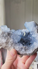 Load and play video in Gallery viewer, High Grade Celestite Cluster - 658g #65
