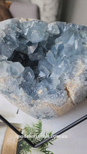 Load and play video in Gallery viewer, Large Celestite Geode Heart / Cluster - 3.38kg #25
