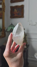 Cargar y reproducir el video en el visor de la galería, Lemurian Seed Clear Quartz - 186g #341
