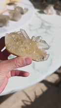 ギャラリービューアGolden Himalayan Quartz Cluster - 194g #409に読み込んでビデオを見る
