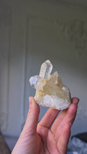 Load and play video in Gallery viewer, Golden Healer Quartz Cluster - small 123g #134
