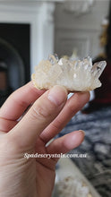 Load and play video in Gallery viewer, Golden Chrysanthemum Quartz Cluster - mini 36g #211
