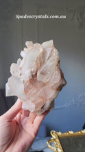 비디오를 갤러리 뷰어 Pink Himalayan Quartz Cluster - 814g #209에 로드 및 재생
