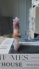 Load and play video in Gallery viewer, Amethyst &amp; Agate Unicorn - 326g #276
