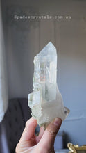 Cargar y reproducir el video en el visor de la galería, Green Chlorite Himalayan Quartz - 582g #167
