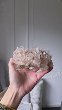 ギャラリービューア| The Crown | Smoky Pink Himalayan Quartz  Cluster - 832g #533に読み込んでビデオを見る
