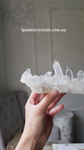 Load and play video in Gallery viewer, Premium Grade Himalayan Quartz Cluster - 346g #398
