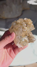 ギャラリービューアGolden Smoky Himalayan Quartz Cluster - 164g #414に読み込んでビデオを見る
