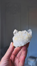 Load and play video in Gallery viewer, Golden Healer Quartz Cluster - small 188g #8
