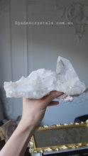 Load and play video in Gallery viewer, Himalayan Quartz Cluster - 781g #175
