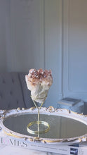 ギャラリービューアRed Phantom Quartz Cluster on Gold Stand - 538g #149に読み込んでビデオを見る
