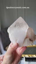 Load and play video in Gallery viewer, Himalayan Quartz Cluster - 816g #202
