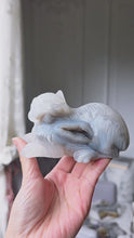 將影片載入圖庫檢視器並播放，Blue Agate Geode Cat Carving - 515g #397
