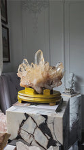 Load and play video in Gallery viewer, Large Golden Healer Quartz Cluster - 7.28kg #1
