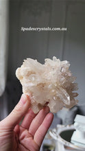 ギャラリービューアHimalayan Quartz Cluster - small 236g #380に読み込んでビデオを見る
