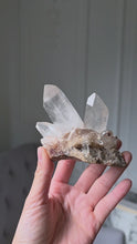 Load and play video in Gallery viewer, | The Rabbit | Smoky Himalayan Quartz Cluster - 203g #532
