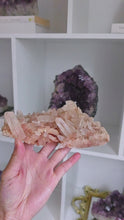 비디오를 갤러리 뷰어 Pink Himalayan Quartz Cluster - 470g #526에 로드 및 재생
