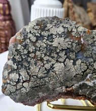 画像をギャラリービューアに読み込む, Pyrite Flower x Agate Slab - 500g #12
